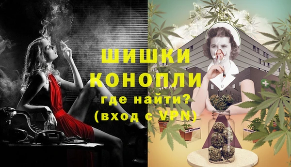 PSILOCYBIN Козельск