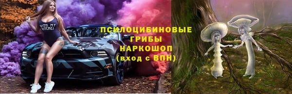 PSILOCYBIN Козельск