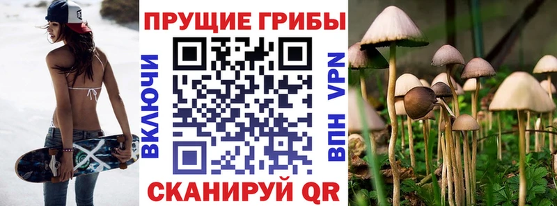 Псилоцибиновые грибы мицелий  Купить закладки  Талдом 